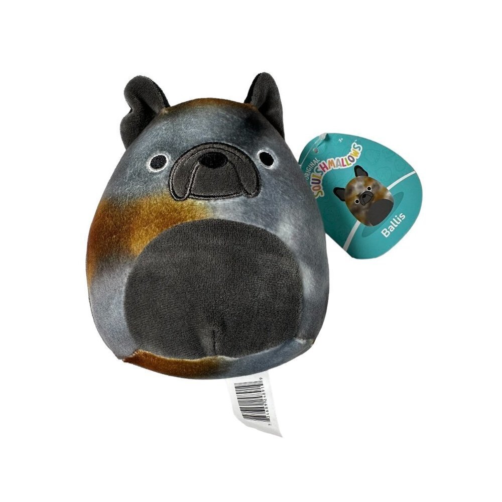 Squishmallow 5" Ballis the French bulldog dog NWOT